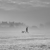 lone man walking fog road Masonic education