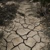 cracked dry earth close up Masonic education