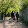 friends walking outdoor path Masonic education