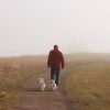 lone man walking foggy morning path Masonic education