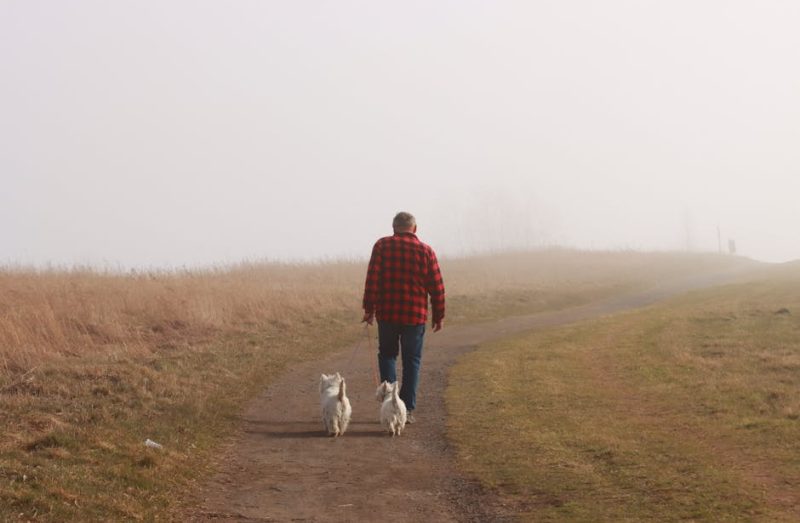 The Quiet Courage of Daily Integrity