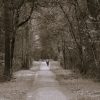 man walking alone forest path Masonic education