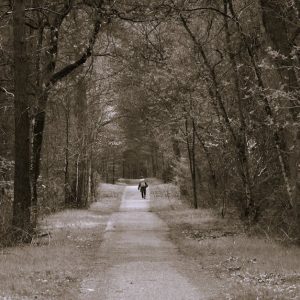 man walking alone forest path Masonic education
