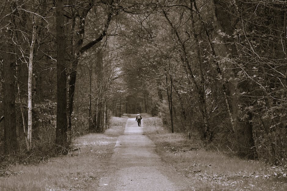 man walking alone forest path Masonic education