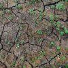 cracked dry earth surface Masonic education