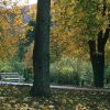 solitary bench autumn park Masonic education