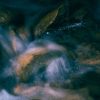 calm river stones flowing water Masonic education